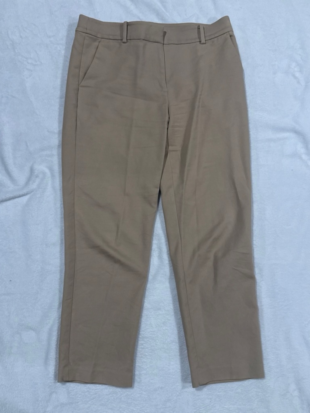 LOFT Women's Straight Leg Pants in Taupe
